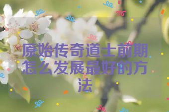 原始传奇道士前期怎么发展最好的方法