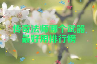 传奇法师哪个武器最好用排行榜