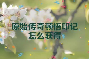 原始传奇顿悟印记怎么获得