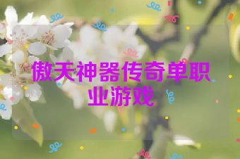 傲天神器传奇单职业游戏