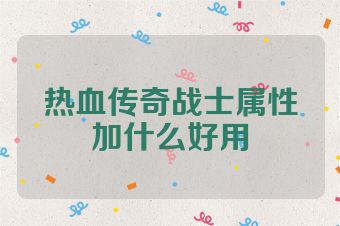 热血传奇战士属性加什么好用