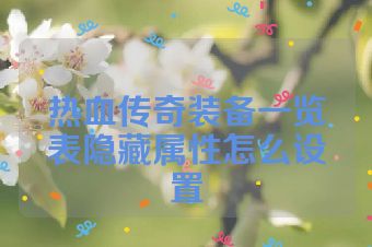 热血传奇装备一览表隐藏属性怎么设置