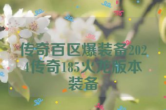 传奇百区爆装备2024传奇185火龙版本装备