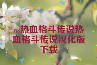 ns热血格斗传说热血格斗传说汉化版下载