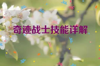 奇迹战士技能详解