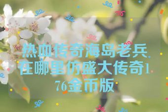 热血传奇海岛老兵在哪里仿盛大传奇176金币版