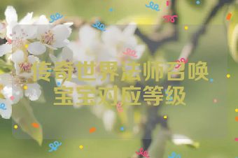 传奇世界法师召唤宝宝对应等级