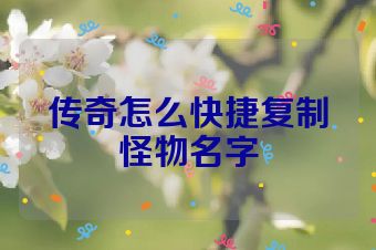 传奇怎么快捷复制怪物名字