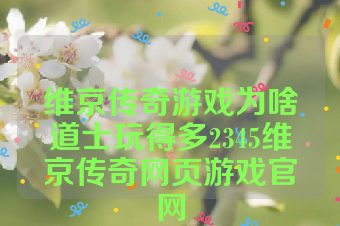 维京传奇游戏为啥道士玩得多2345维京传奇网页游戏官网
