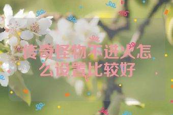 传奇怪物不进火怎么设置比较好