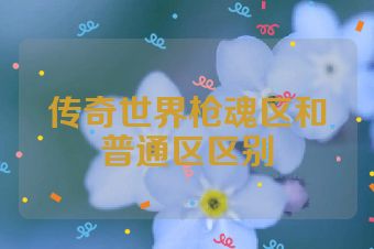 传奇世界枪魂区和普通区区别