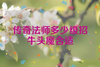 传奇法师多少级招牛头魔合适