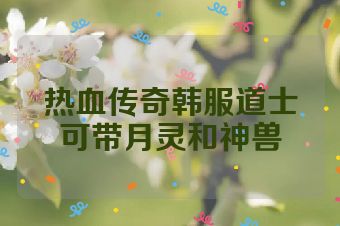 热血传奇韩服道士可带月灵和神兽