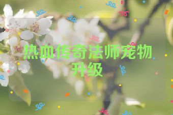 热血传奇法师宠物升级