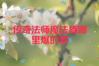 传奇法师魔法盾哪里爆的多