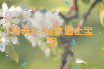传奇1.80版本道士宝宝