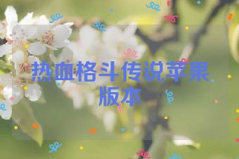 热血格斗传说苹果版本