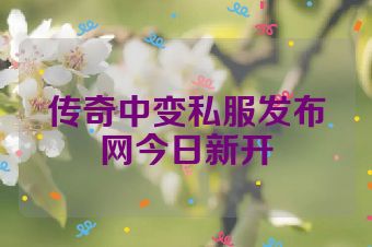 传奇中变私服发布网今日新开
