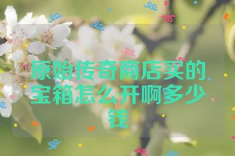原始传奇商店买的宝箱怎么开啊多少钱