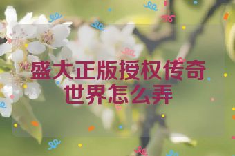 盛大正版授权传奇世界怎么弄