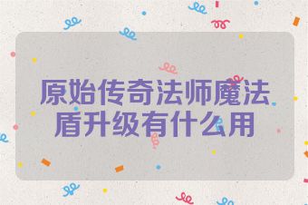 原始传奇法师魔法盾升级有什么用