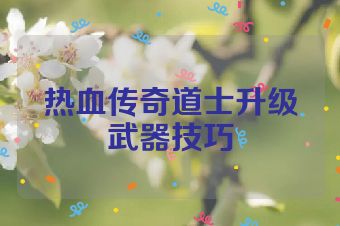 热血传奇道士升级武器技巧