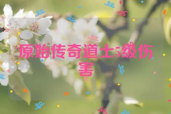 原始传奇道士5级伤害