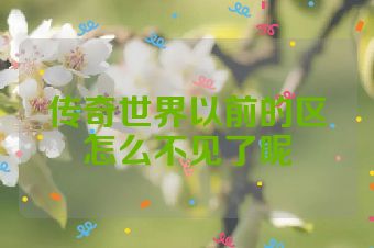 传奇世界以前的区怎么不见了呢