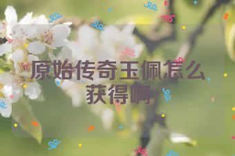 原始传奇玉佩怎么获得啊