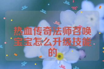 热血传奇法师召唤宝宝怎么升级技能的