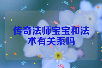 传奇法师宝宝和法术有关系吗