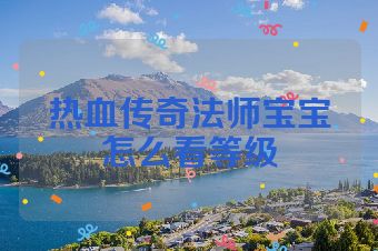 热血传奇法师宝宝怎么看等级