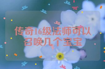 传奇16级法师可以召唤几个宝宝