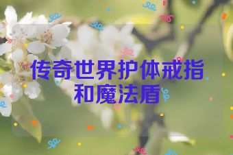 传奇世界护体戒指和魔法盾