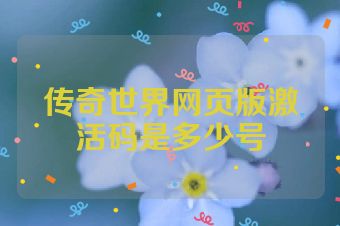传奇世界网页版激活码是多少号