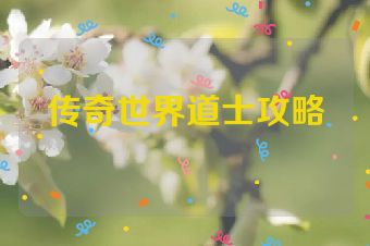传奇世界道士攻略