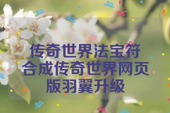传奇世界法宝符箓合成传奇世界网页版羽翼升级