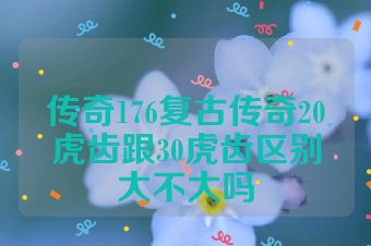 传奇176复古传奇20虎齿跟30虎齿区别大不大吗