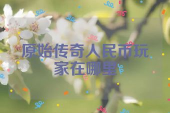 原始传奇人民币玩家在哪里