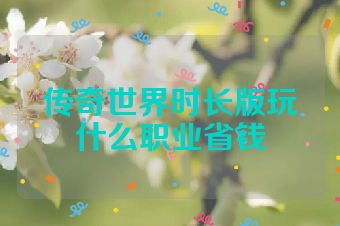 传奇世界时长版玩什么职业省钱