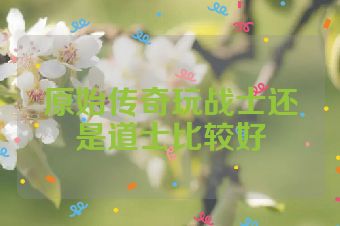 原始传奇玩战士还是道士比较好