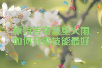 原始传奇流星火雨如何升级技能最好