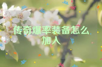 传奇爆率装备怎么加入