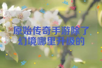 原始传奇手游除了幻境哪里升级的