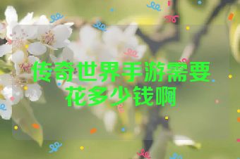 传奇世界手游需要花多少钱啊