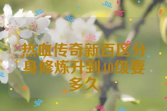 热血传奇新百区分身修炼升到40级要多久