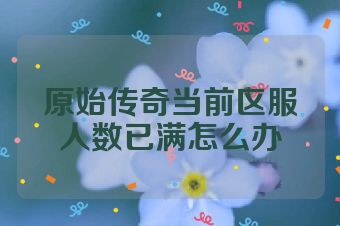 原始传奇当前区服人数已满怎么办