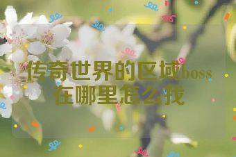 传奇世界的区域boss在哪里怎么找