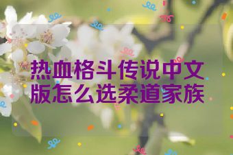 热血格斗传说中文版怎么选柔道家族
