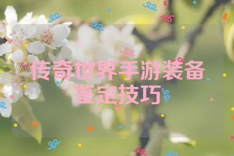 传奇世界手游装备鉴定技巧